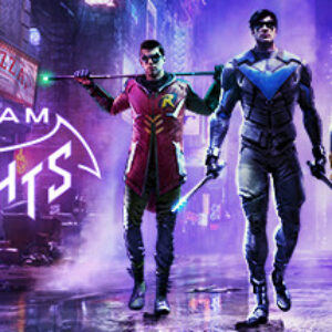 Gotham Knights