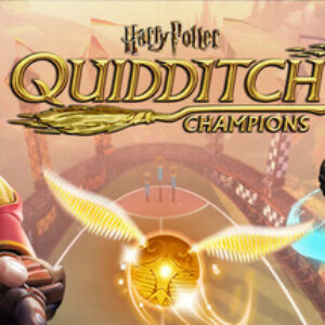 Harry Potter: Campeões Do Quadribol