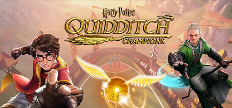 Harry Potter: Campeões Do Quadribol