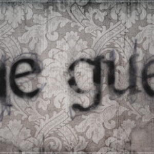 The Guest